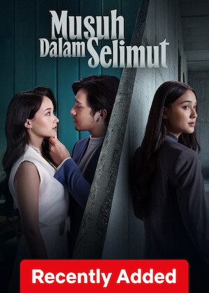 Hidden Enemy poster